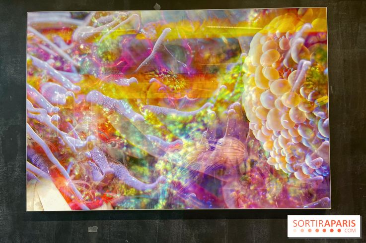 Le monde est à tous.tes - IMG 2543