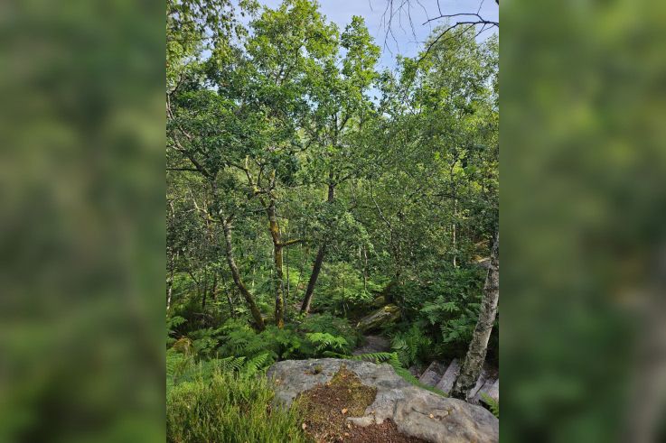 Le Pays de Fontainebleau, en famille ou entre amis