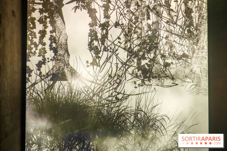 Decoding Korea : l'art numérique et contemporain coréen se dévoile au Grand Palais Immersif - IMG20240725151450