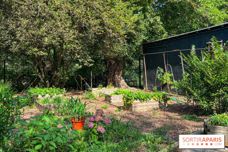 Camping Paris Maisons-Laffite