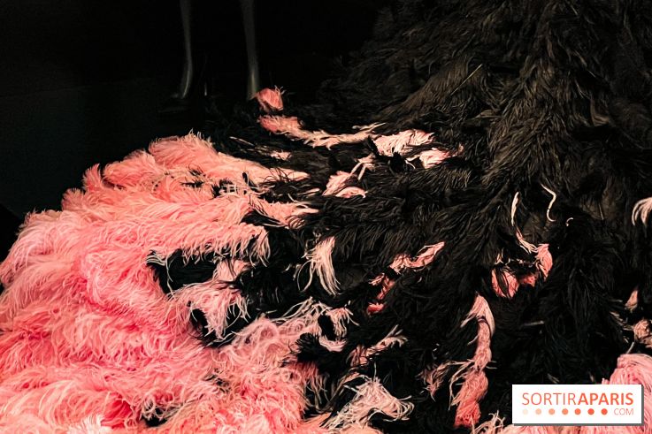 JO paris 2024 : Les tenues de scène de Lady Gaga, Aya Nakamura et Céline Dion exposées à la Galerie Dior  - image00004