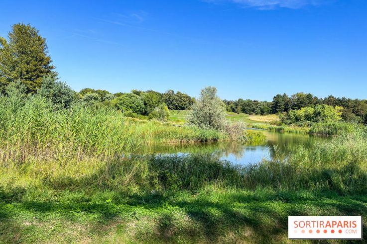 Le parc Georges-Valbon de la Courneuve - nos photos - image00012