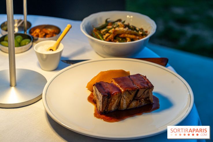 La terrasse dans un jardin avec vue Tour Eiffel du Marguerite 1606 au Domaine de la Reine Margot -  A7C1366