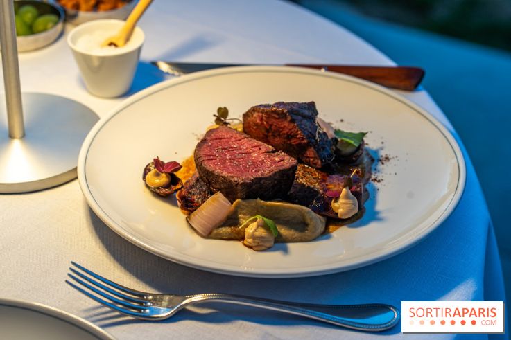 La terrasse dans un jardin avec vue Tour Eiffel du Marguerite 1606 au Domaine de la Reine Margot -  A7C1368