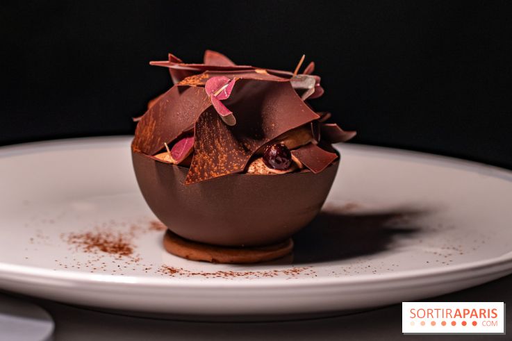 La terrasse dans un jardin avec vue Tour Eiffel du Marguerite 1606 au Domaine de la Reine Margot -  A7C1381