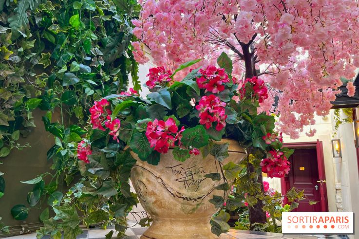 Maison Bohème, - IMG 2817