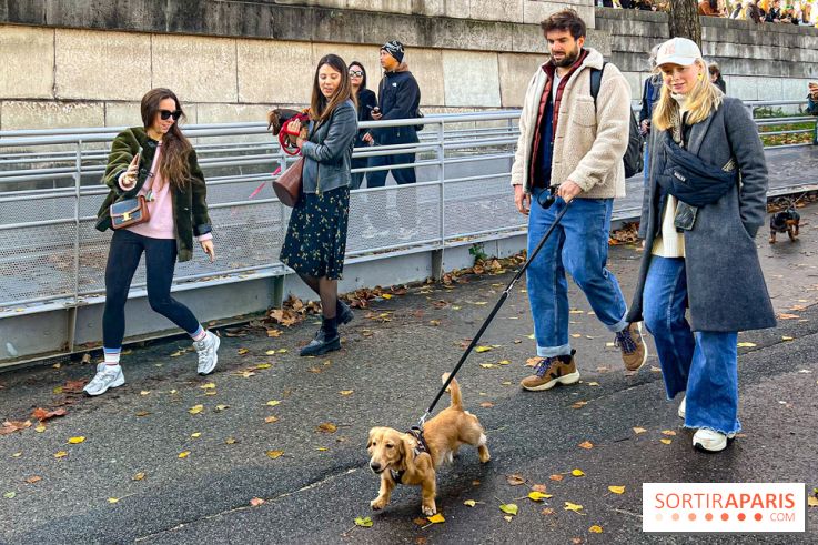 Paris Sausage Walk 2024 : la marche des teckels de retour dans la capitale - image00015