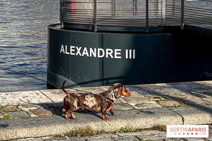 Paris Sausage Walk 2024 : la marche des teckels de retour dans la capitale - image00032