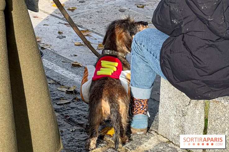Paris Sausage Walk 2024 : la marche des teckels de retour dans la capitale - image00033
