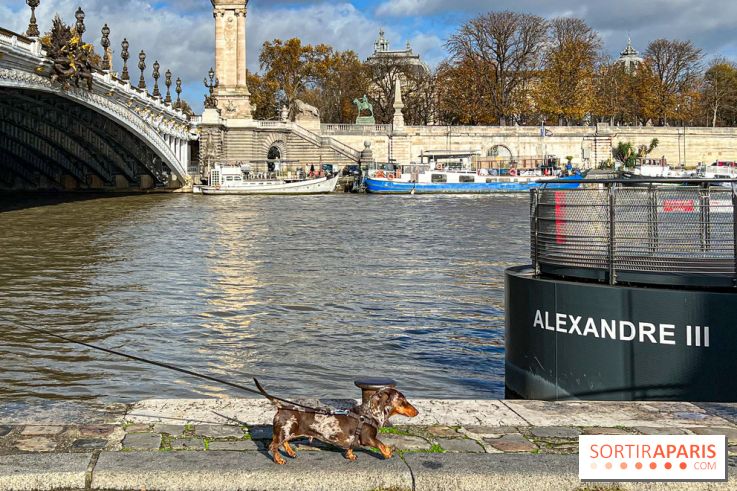 Paris Sausage Walk 2024 : la marche des teckels de retour dans la capitale - image00001