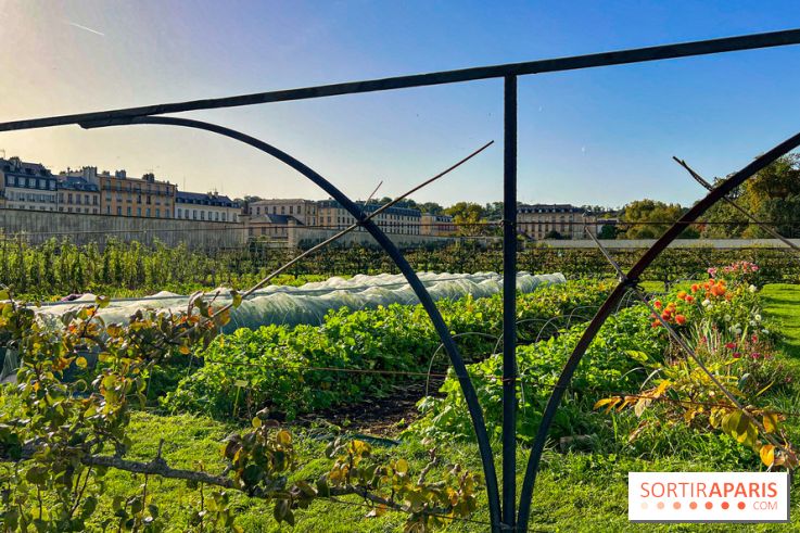 Les Saveurs du Potager du Roi à Versailles : marché de fruits & légumes, expositions et animations