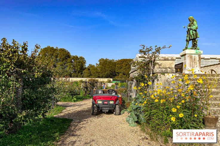 Les Saveurs du Potager du Roi à Versailles : marché de fruits & légumes, expositions et animations - image00020