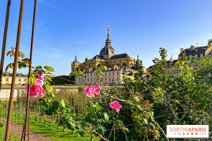 Les Saveurs du Potager du Roi à Versailles : marché de fruits & légumes, expositions et animations - image00057