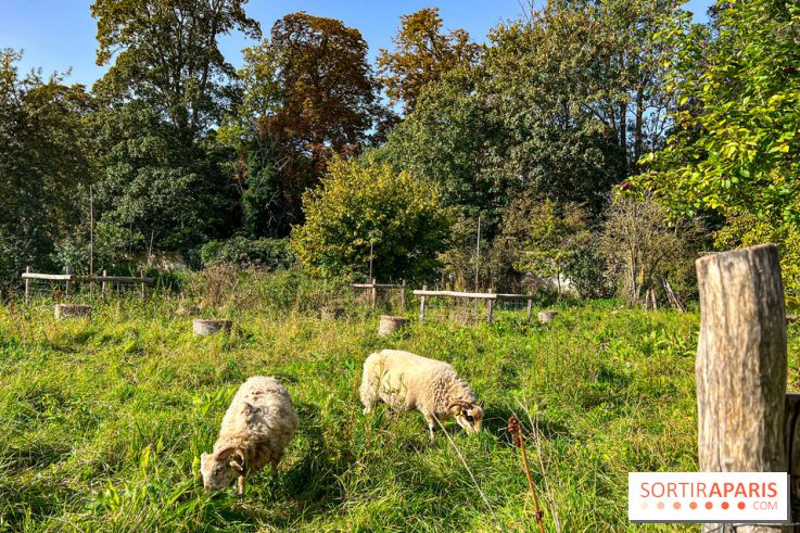 Les Saveurs du Potager du Roi à Versailles : marché de fruits & légumes, expositions et animations - image00079