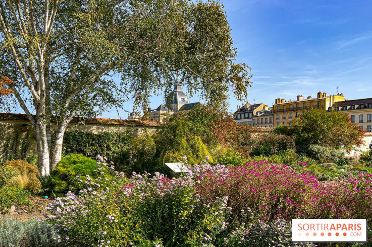 Les Saveurs du Potager du Roi à Versailles : marché de fruits & légumes, expositions et animations