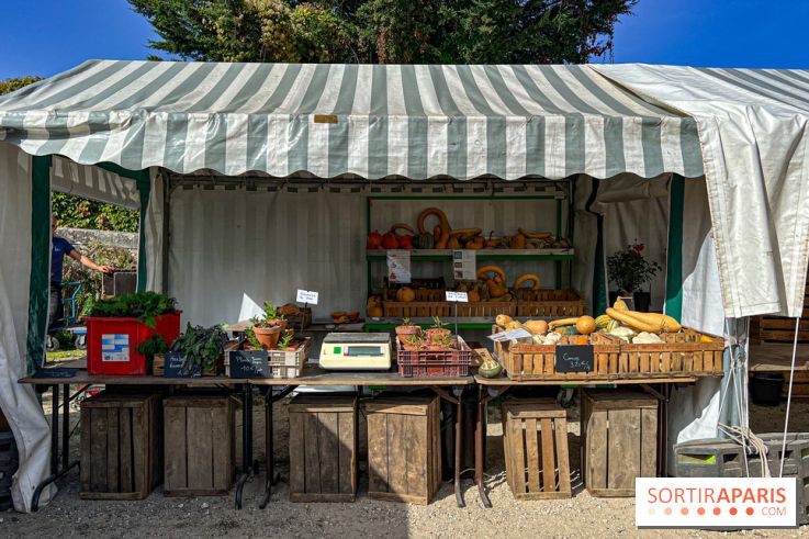 Les Saveurs du Potager du Roi à Versailles : marché de fruits & légumes, expositions et animations
