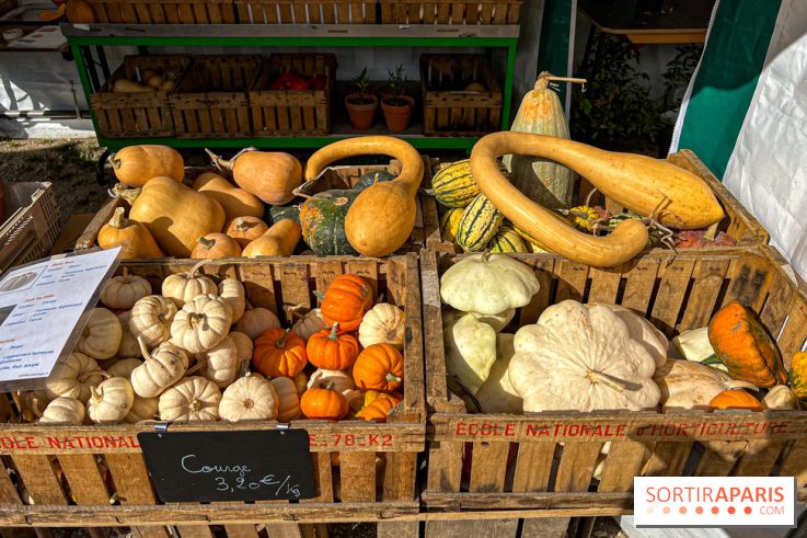 Les Saveurs du Potager du Roi à Versailles : marché de fruits & légumes, expositions et animations
