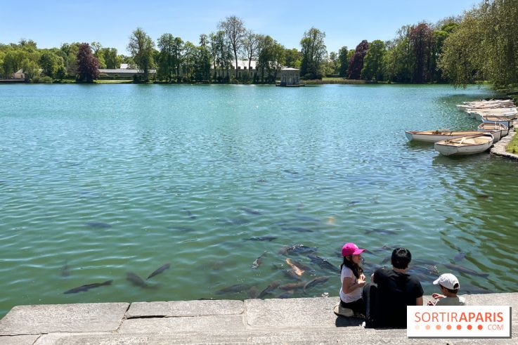 Etang aux carpes et barques - nos photos