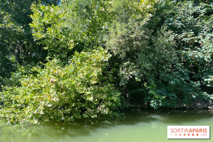 Marin d'eau douce Boulogne - nos photos