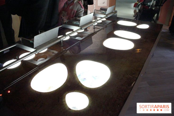 L'Arche des petites bêtes au Zoo de Thoiry