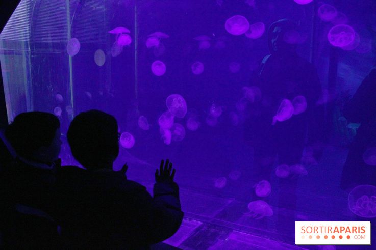 L'Arche des petites bêtes au Zoo de Thoiry