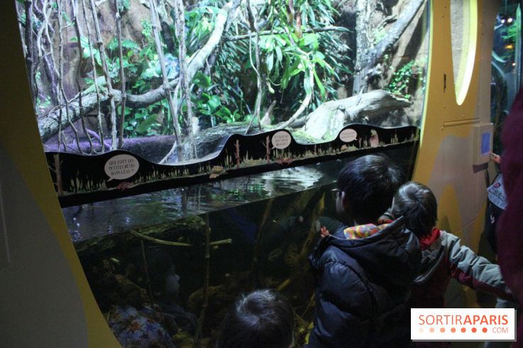 L'Arche des petites bêtes au Zoo de Thoiry