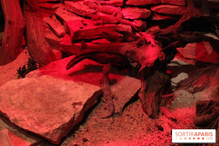 L'Arche des petites bêtes au Zoo de Thoiry