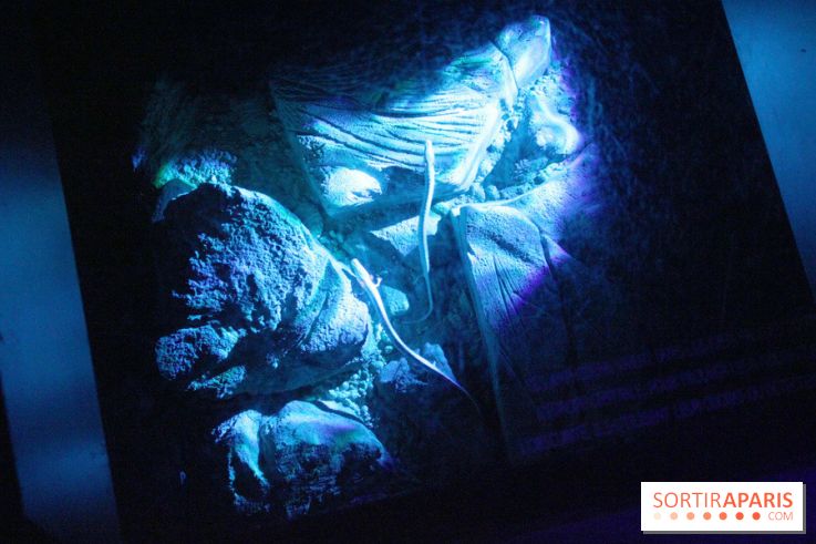 L'Arche des petites bêtes au Zoo de Thoiry