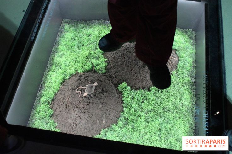 L'Arche des petites bêtes au Zoo de Thoiry