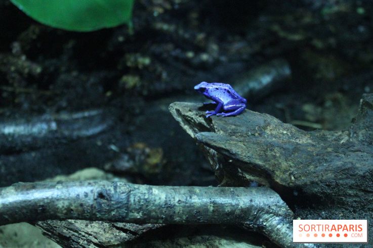 L'Arche des petites bêtes au Zoo de Thoiry