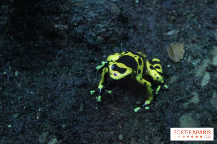 L'Arche des petites bêtes au Zoo de Thoiry