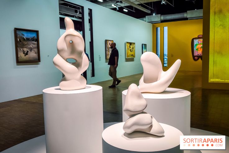 Le surréalisme : l'exposition exceptionnelle qui célèbre les 100 ans du mouvement au Centre Pompidou - IMG20240903163626