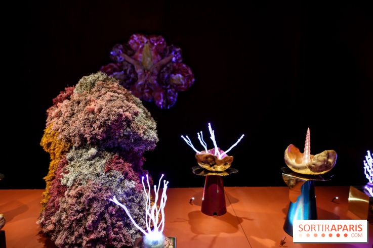 “Forêts astrales” : nos photos de l'exposition gratuite à voir à l'Institut suédois à Paris - IMG 5920