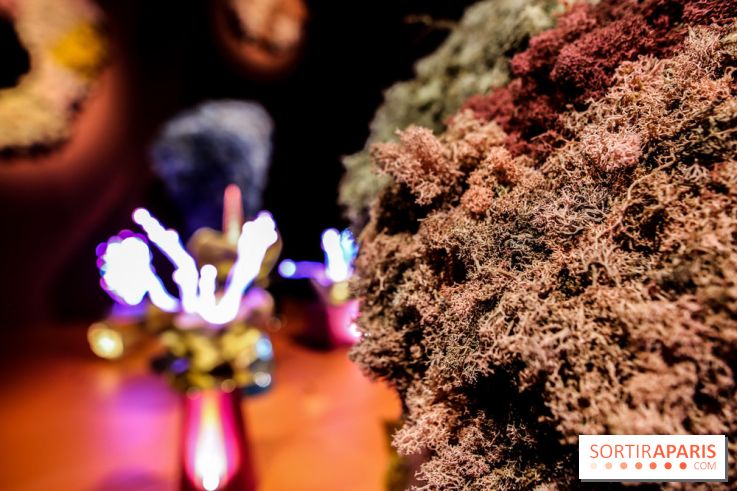 “Forêts astrales” : nos photos de l'exposition gratuite à voir à l'Institut suédois à Paris - IMG 5971