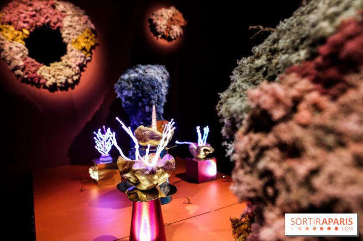 “Forêts astrales” : nos photos de l'exposition gratuite à voir à l'Institut suédois à Paris - IMG 5972