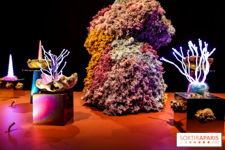 “Forêts astrales” : nos photos de l'exposition gratuite à voir à l'Institut suédois à Paris