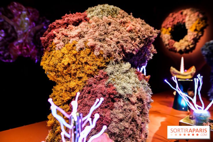 “Forêts astrales” : nos photos de l'exposition gratuite à voir à l'Institut suédois à Paris