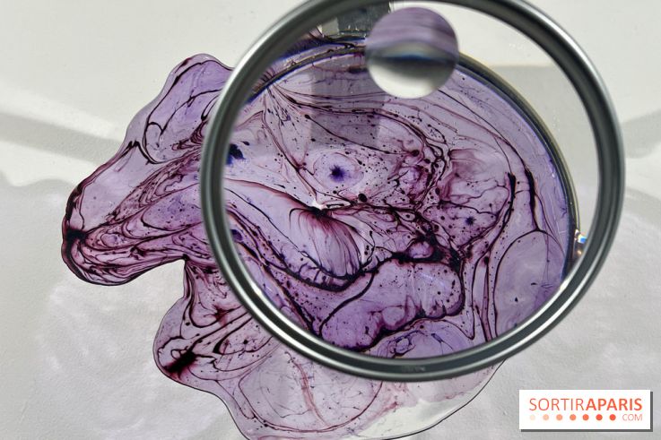 La lumière comme Matière, l'exposition de Meaghan Matthews au Centre Tignous - IMG 9596 2