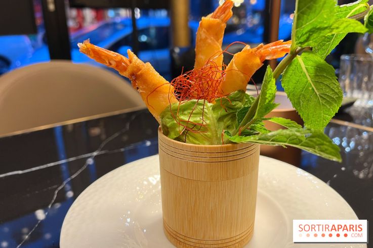 Moon Fusion - Nems crevettes