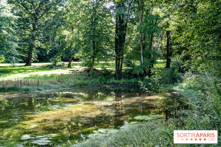Le désert de Retz, le parc anglo-chinois insolite dans les Yvelines -  A7C2133