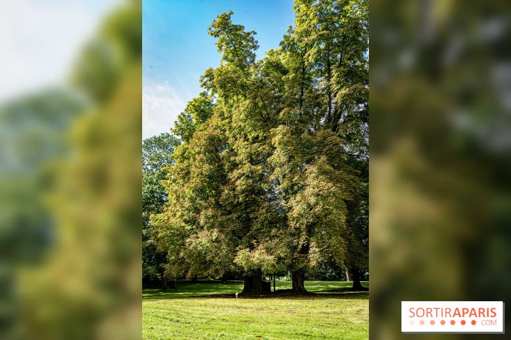 Le désert de Retz, le parc anglo-chinois insolite dans les Yvelines