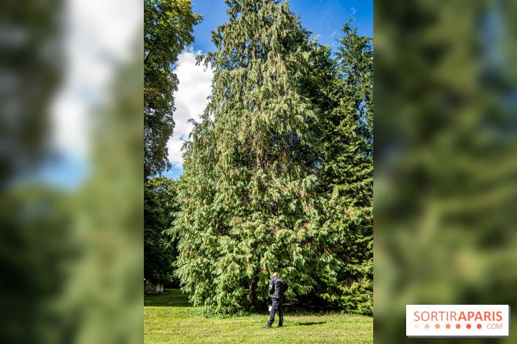 Le désert de Retz, le parc anglo-chinois insolite dans les Yvelines -  A7C2135