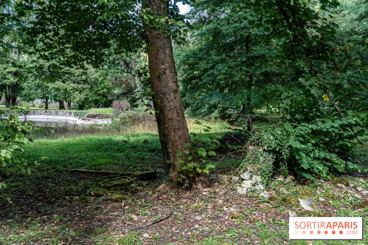 Le désert de Retz, le parc anglo-chinois insolite dans les Yvelines -  A7C2138