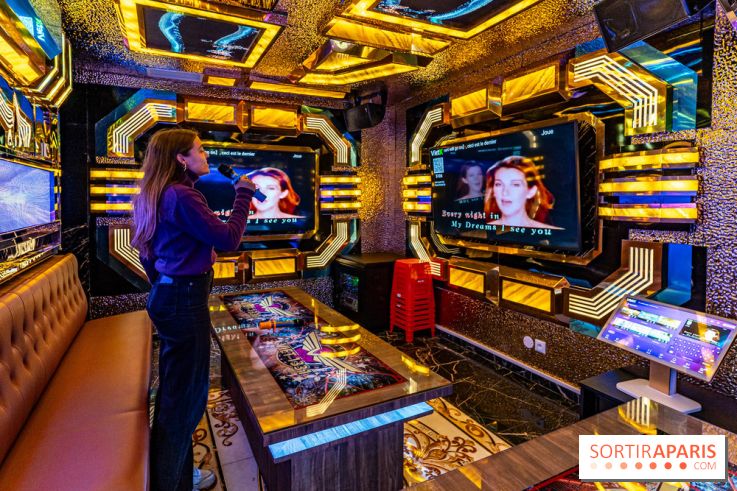 Viet 1331, le restaurant karaoké vietnamien immersif du 13e -  salle karaoké