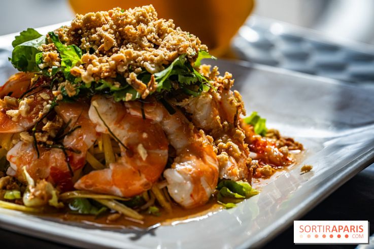 Viet 1331, le restaurant karaoké vietnamien immersif du 13e -  salade mangue et crevettes