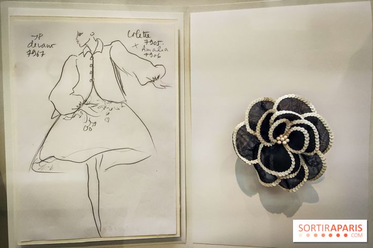 Les fleurs d'Yves Saint Laurent : l'exposition se dévoile en images au musée YSL