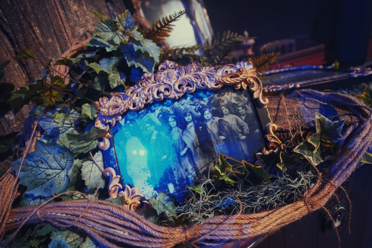 Spectacle Arbre Cirque Bormann  - DSC00186