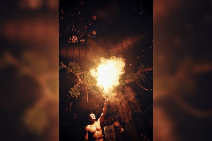 Spectacle Arbre Cirque Bormann  - DSC00978