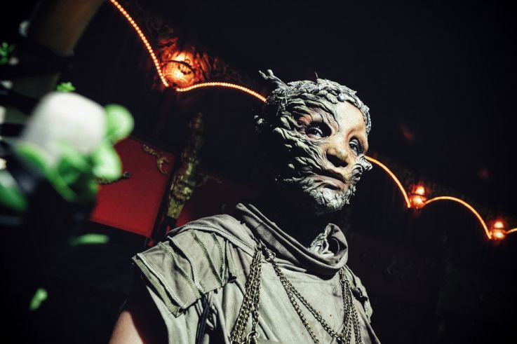 Spectacle Arbre Cirque Bormann  - DSC00542