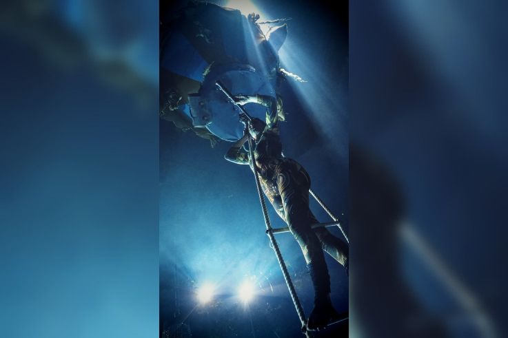 Spectacle Arbre Cirque Bormann  - DSC01142